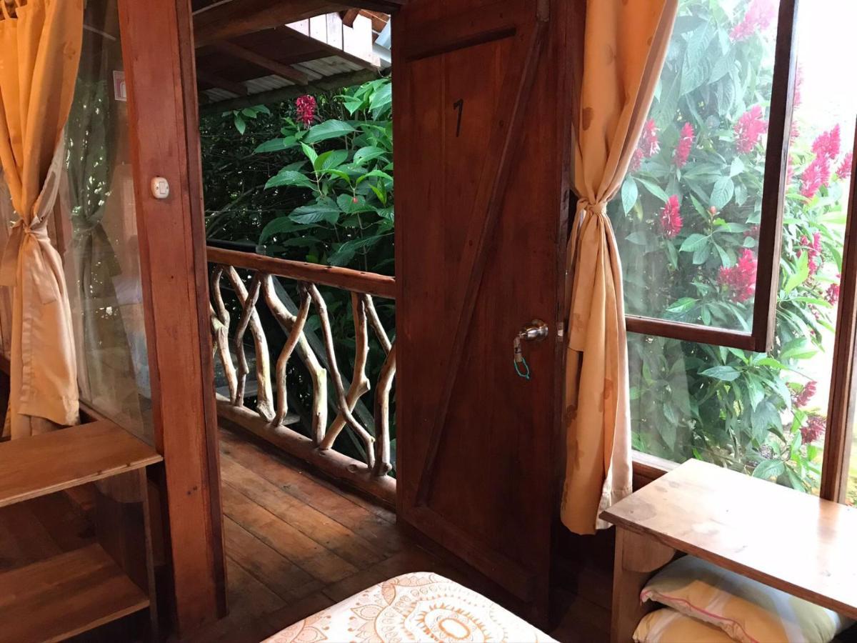 Hosteria Los Cedros De Міндо Екстер'єр фото